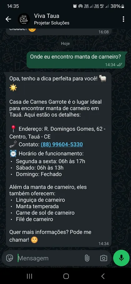 Conversa no WhatsApp com a Viva indicando onde encontrar manta de carneiro em Tauá